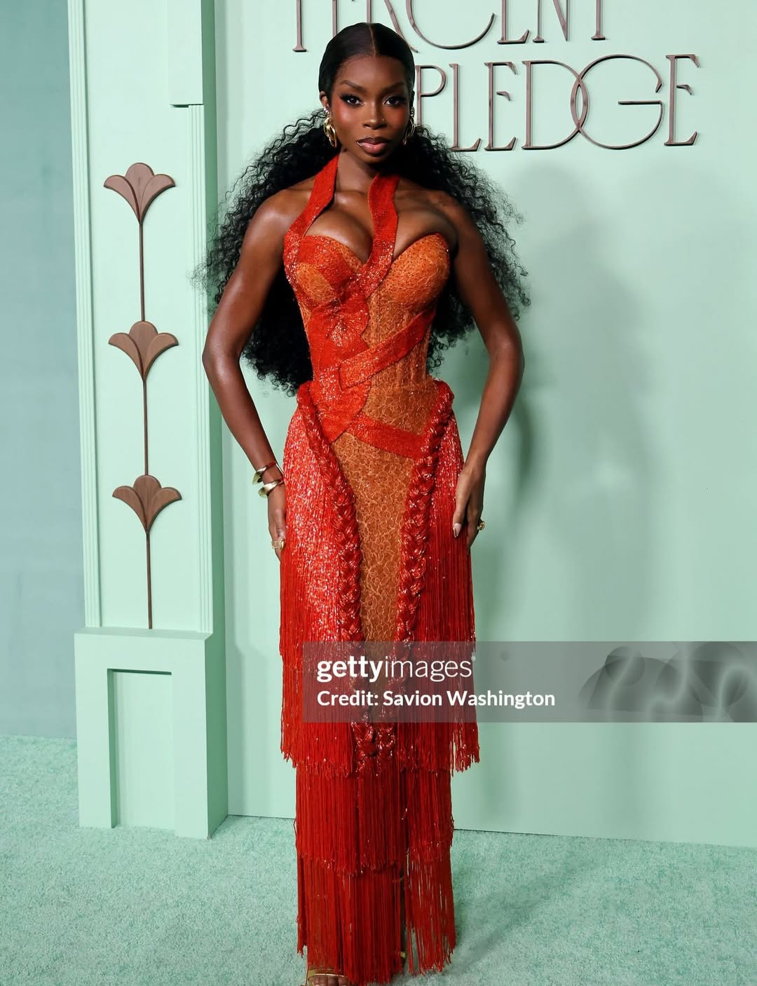 Olandria Carthen in the Plait Dress at the 15% Pledge Gala 2026